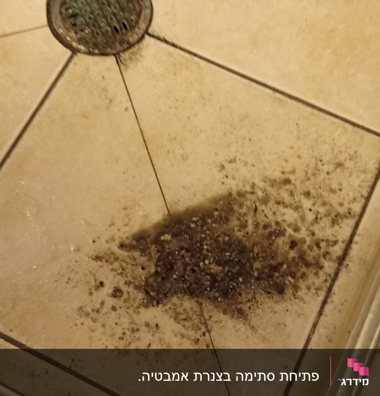 ניקוז רצפה עם לכלוך ומים על האריחים